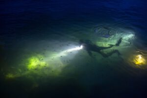 dive-2701889