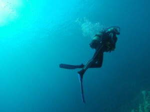 diving-714852