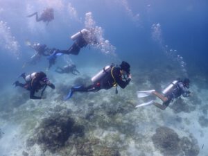skin-scuba-7947910