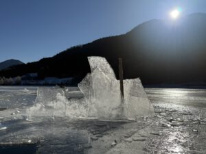 IMG_1185